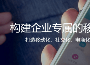 為何訂單管理SaaS能衍變成B2B電商？易訂貨CEO馮頡是這么說的