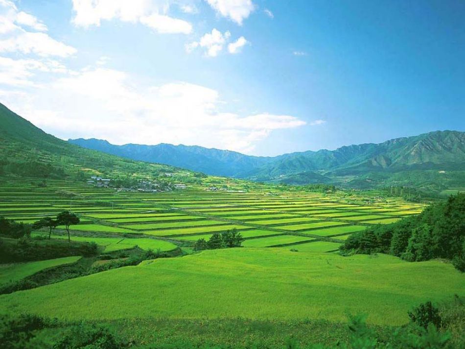 農(nóng)業(yè)