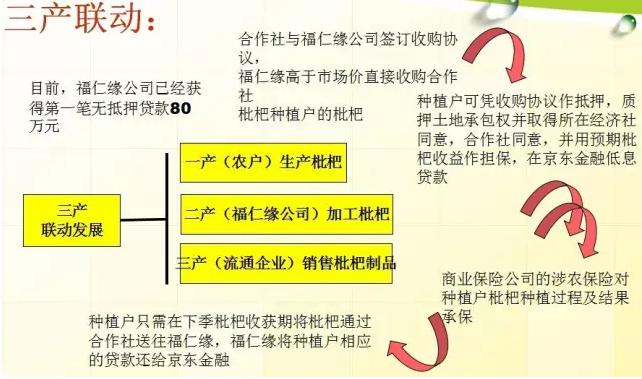 三產(chǎn)聯(lián)動