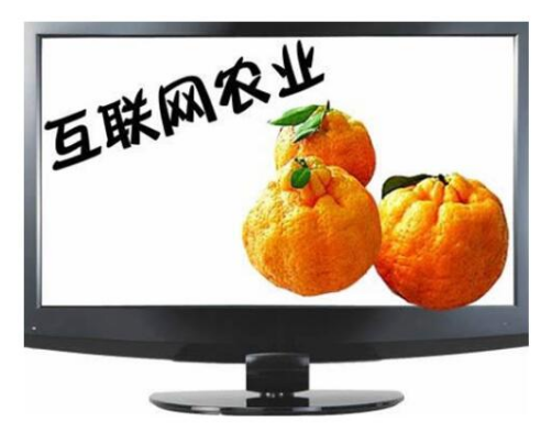 互聯(lián)網(wǎng)農(nóng)業(yè)