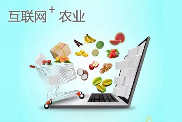 互聯(lián)網(wǎng)+農(nóng)業(yè)