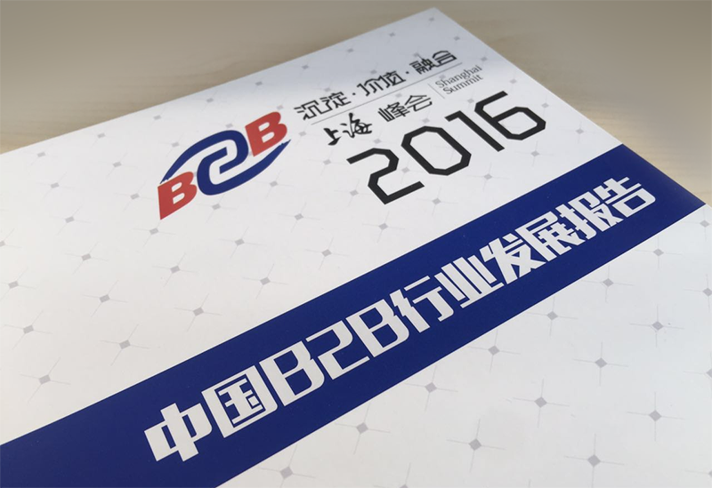 中國B2B行業(yè)發(fā)展報(bào)告（2016）
