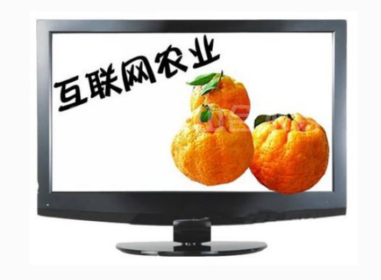 互聯(lián)網(wǎng)農(nóng)業(yè)