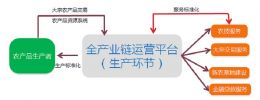 雨潤深度布局“互聯(lián)網(wǎng)+”打造雨潤果蔬網(wǎng)